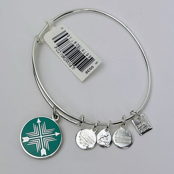 NWT Alex and Ani Arrows of Friendship Bangle Bracelet Silver w/ Turquoise Charms - Picture 1 of 8